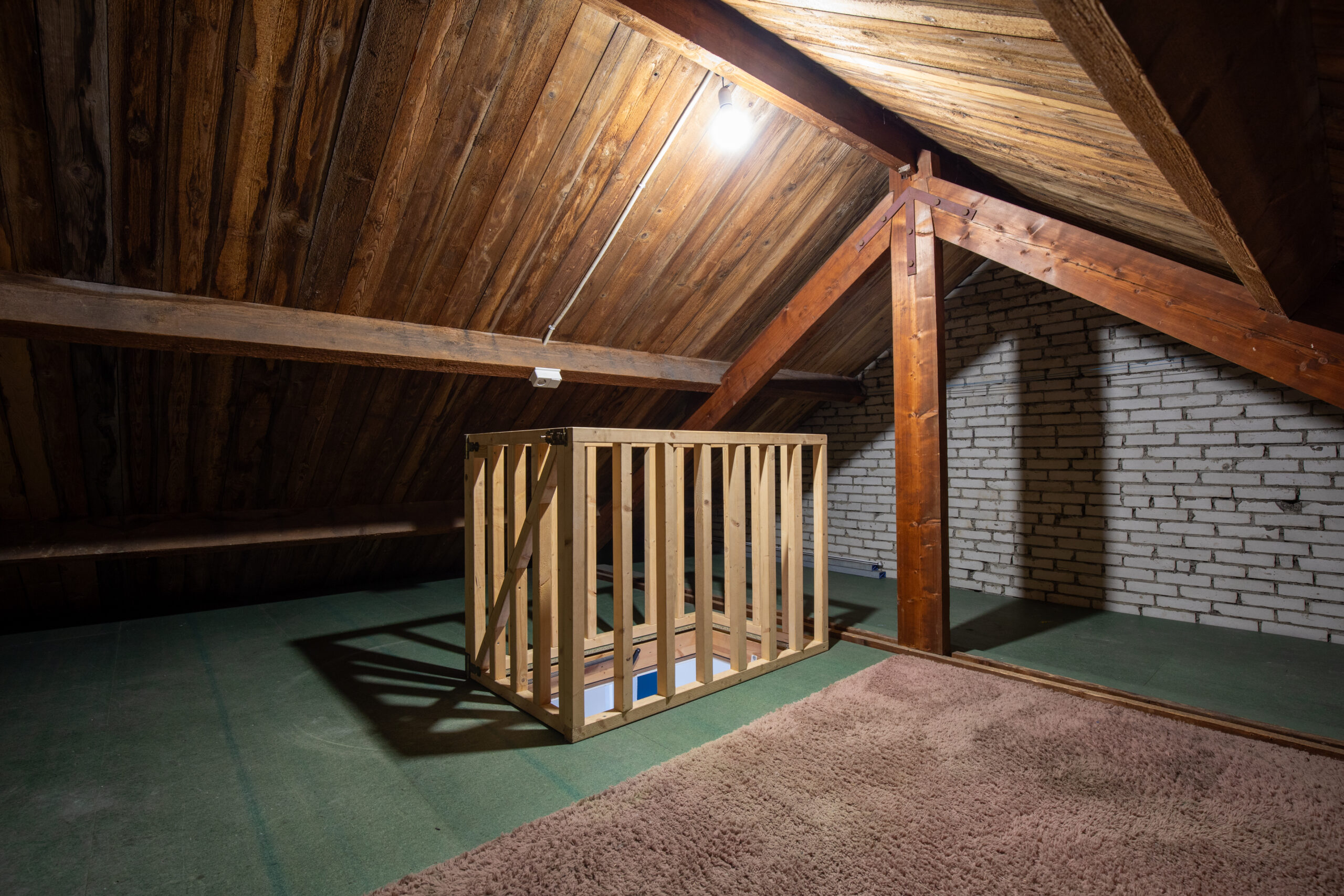 _S9A7383-4 _S9A7383-4